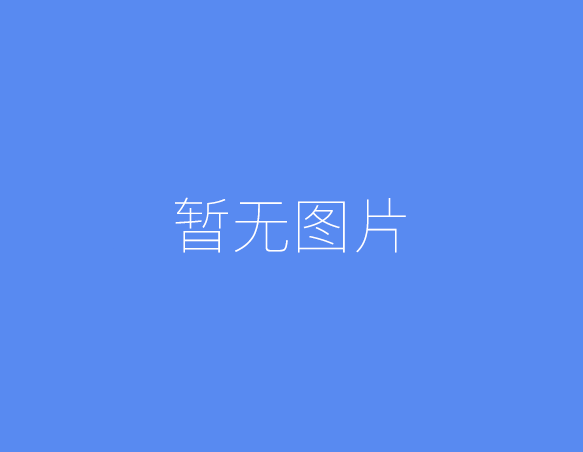 如何选择适合自己的跨境独立站平台、2026七大主流选择推荐